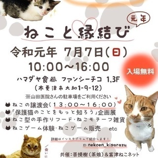 ねこと縁結び