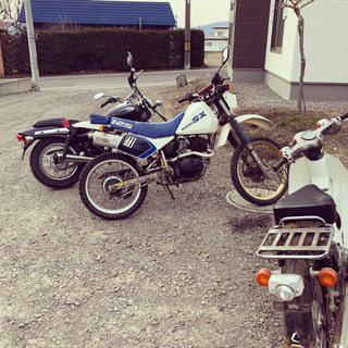 SX125