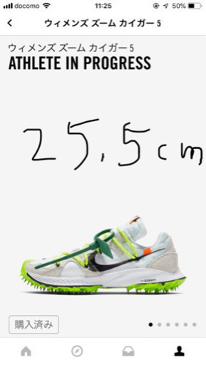 off white Nike ガイガー