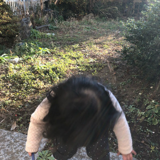 庭の草むしりをお願いします。