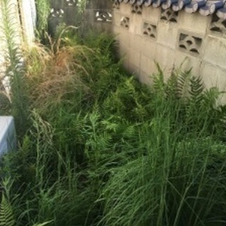 ・【無料】で草むしりします! 【福岡市中央区・城南区・南区限定】 - 福岡市