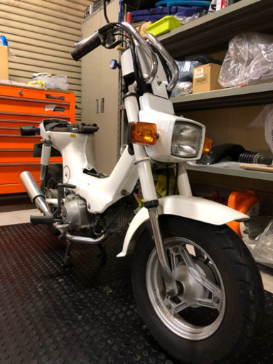 角目シャリー50