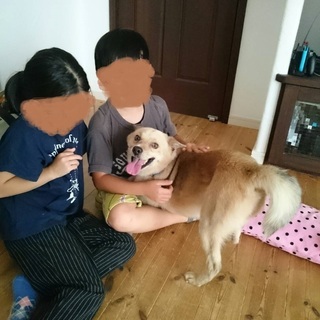 ケンタ里親決定 − 福島県