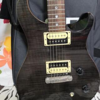 PRS SE custom 22の画像