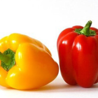 パプリカの仕分け作業