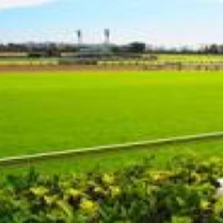 7/20【ゆるく】地方競馬【予想しましょう】