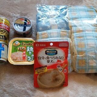 送込)マナーウエアと介護期(療養中)の食事