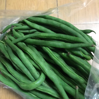 野菜  いんげん  200g位