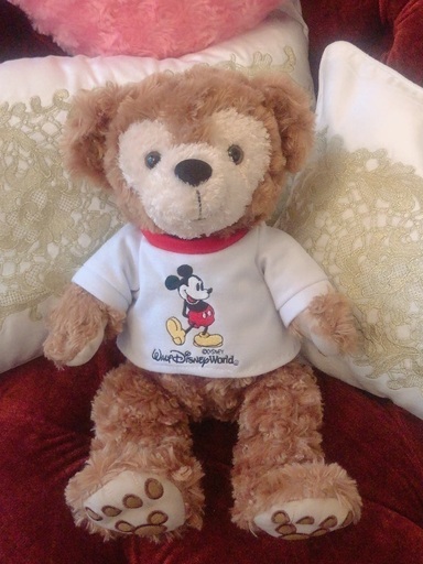 ウォルトディズニーワールド WDW ダッフィー