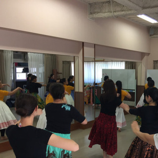 🌺船橋 プナヘレ フラ サークル生徒募集🌺