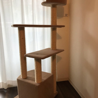 キャットタワー の画像