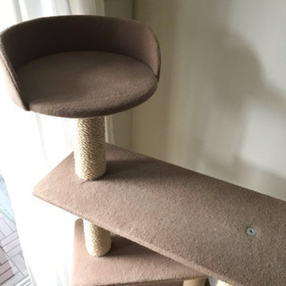 キャットタワー の画像