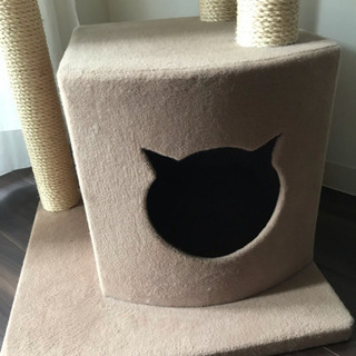 キャットタワー の画像