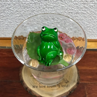 【売り切れました】🍀観葉植物4種set＋おまけ♪の画像