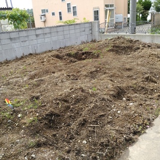 庭の土、御譲りします。