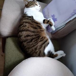 ママ友になりませんか？(*´▽｀*)