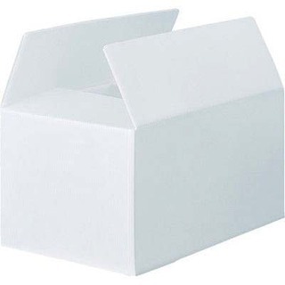 プラダン★プラスチックダンボール★通い箱 プラダンケース 160...