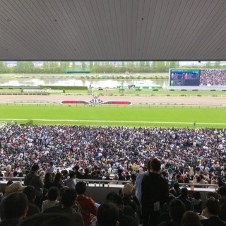 競馬サークル仲間募集