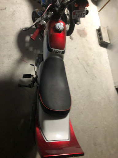 早い者勝ち！ エイプ50