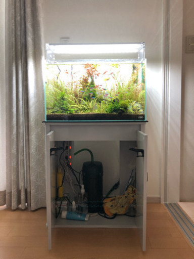 ADA水槽 ライトなど（現在交渉中）