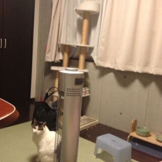 キャットタワー　差し上げますの画像
