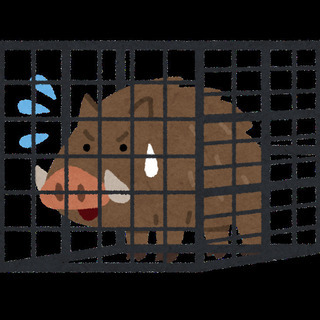 【MISSION：アライグマを捕まえろ】害獣駆除スタッフ【寮付き】の画像