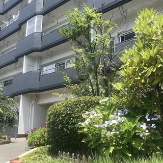 ★賃料減額しました★老松町7階建マンション　2LDK 50.9㎡