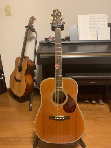 超美品超良音★ Greg Bennett アコースティックギター