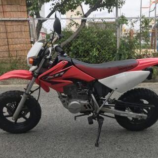 兵庫■大阪 XR50 モタード 希少車 走行浅め ホンダ HONDA