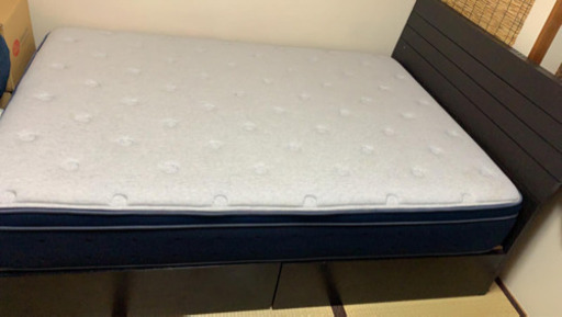 ニトリ 木製ベッド ダブル デュアルポケットコイルマットレス付き 収納ベッド