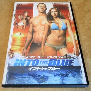 ☆DVD/INTO THE BLUE イントゥ・ザ・ブルー◆カリ...
