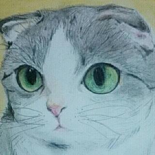 ペットの似顔絵描きます⭐500円⭐