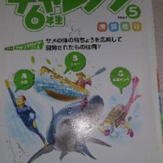 チャレンジ中学生