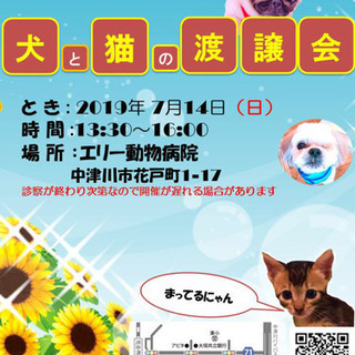 犬 と猫の譲渡会
