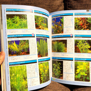 世界の熱帯魚&水草カタログ 2013年度版の画像