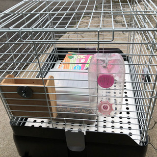 美品？小動物用 ゲージ ウサギ 使用一年未満 おまけ色々付きの画像