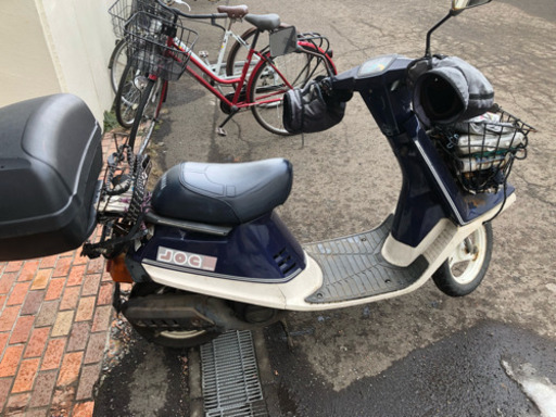 ペリカンジョグ
