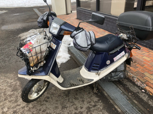 ペリカンジョグ