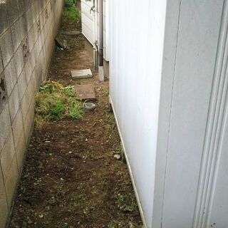 草むしり屋がんチャンにお任せあれ！