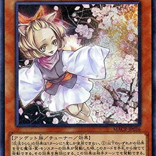 遊戯王、デュエルしたいです