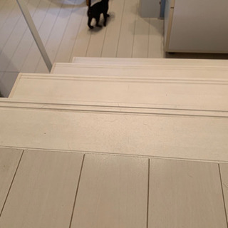 急募！！！！真っ黒の可愛い子猫です！ − 沖縄県