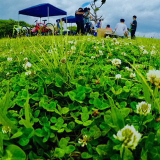 ✨🌸☀️ナンパナシ❗️☀️🌸✨ ✨🥂🍻すぐ友達出来ます🍻🥂✨