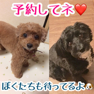 （先着5名様ジモティ限定！２大特典プレゼント）40代女性、首肩こ...