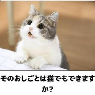 PC入力、軽作業、カメラマン