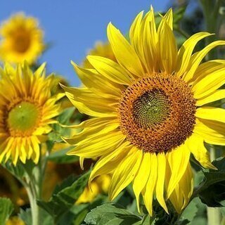 三重県　遺品整理、生前整理、出張買取　～貴金属・宝石・ブラ…