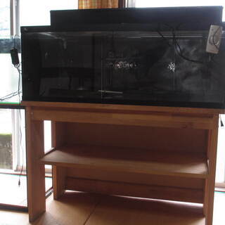 120cm　アクリル水槽　木製台付　サービス品あり