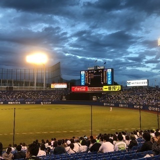 ヤクルトのグルチャメンバー大募集‼️‼️