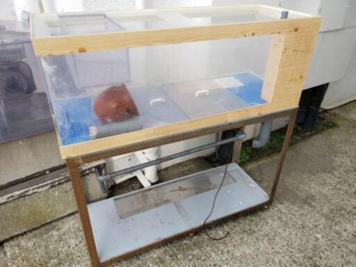 アクリルオーバーフロー水槽値下げします