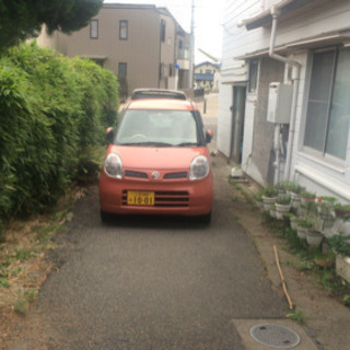 松の木を切断出来る方 − 愛知県
