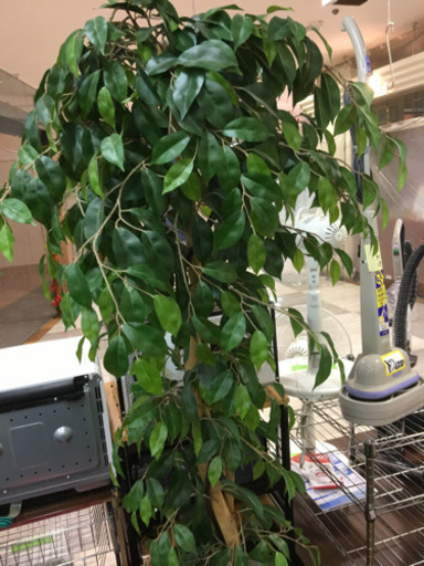 観葉植物 造花